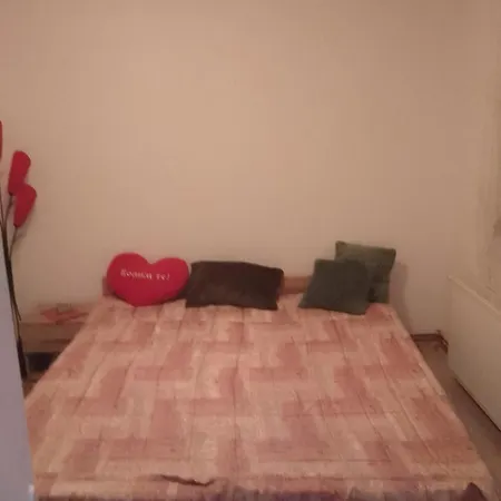 Djordjevic Apartment *