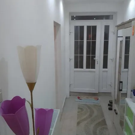 Djordjevic Apartment