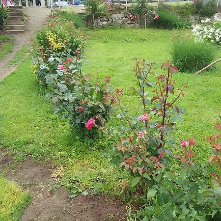 Apartment Djordjevic