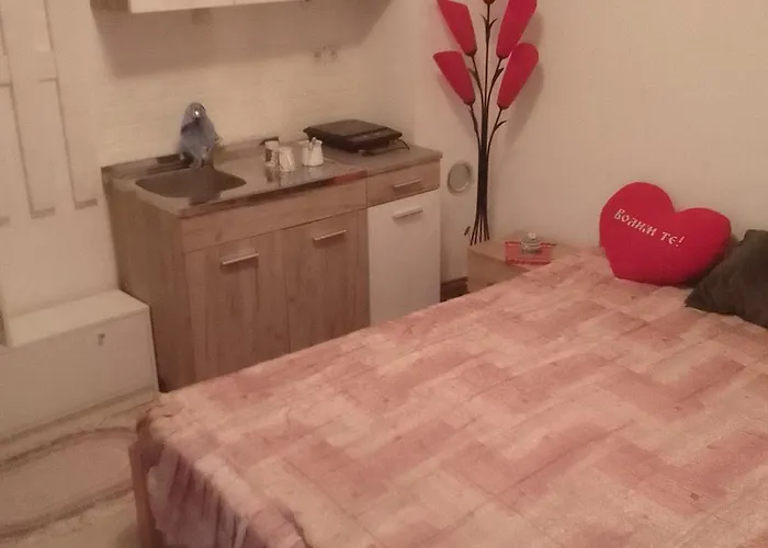 Djordjevic Apartment