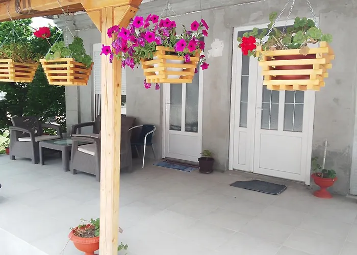 Djordjevic Apartment